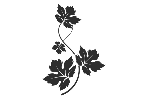 Black Curved Vine. Grape Branch Decorati